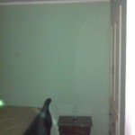 Lourdes's House (2)